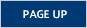 PAGE UP
